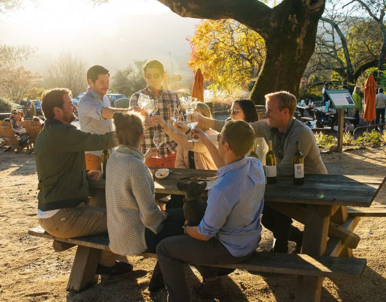 group of friends cheers at a winery