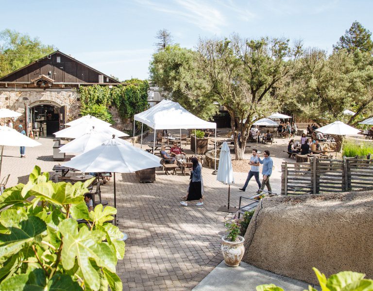 overlooking patio at gundlach bundschu winery