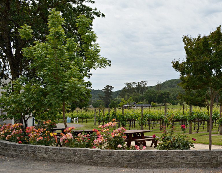 Landscape view of Loxton Cellars