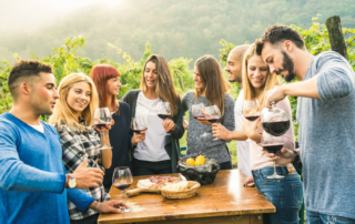 Photo of a Group on a Sonoma Wine Tour.