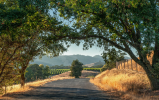 Scenic photo of Sonoma landscape