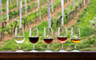 Photo of glasses of wine at the Glen Ellen wineries
