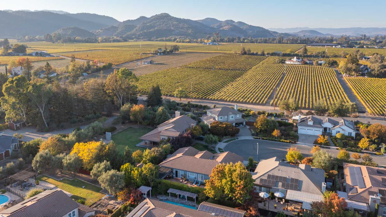 Aerial view of napa vacation homes among the vineyards