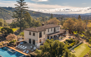 aerial view of la chataigne estate surrounded by pool, vineyards, and mature trees