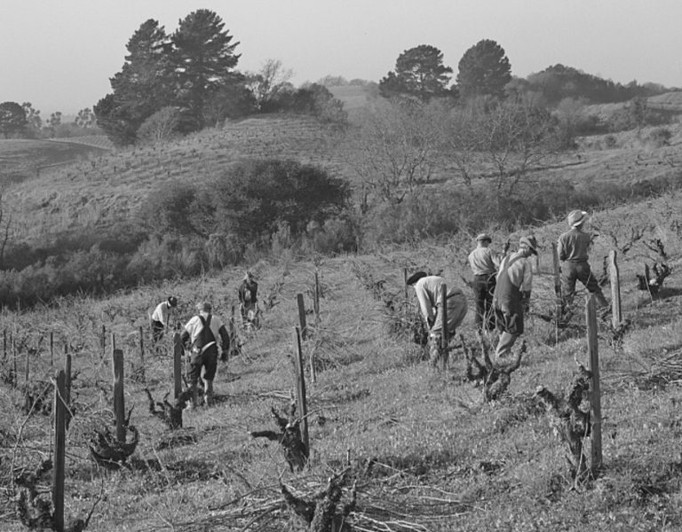 early russian settlers in sonoma county