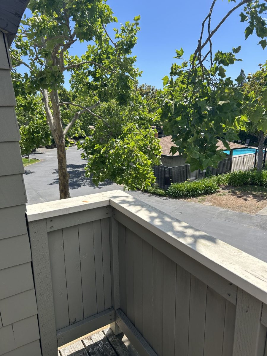 Bernice_13 | Woodfield Properties