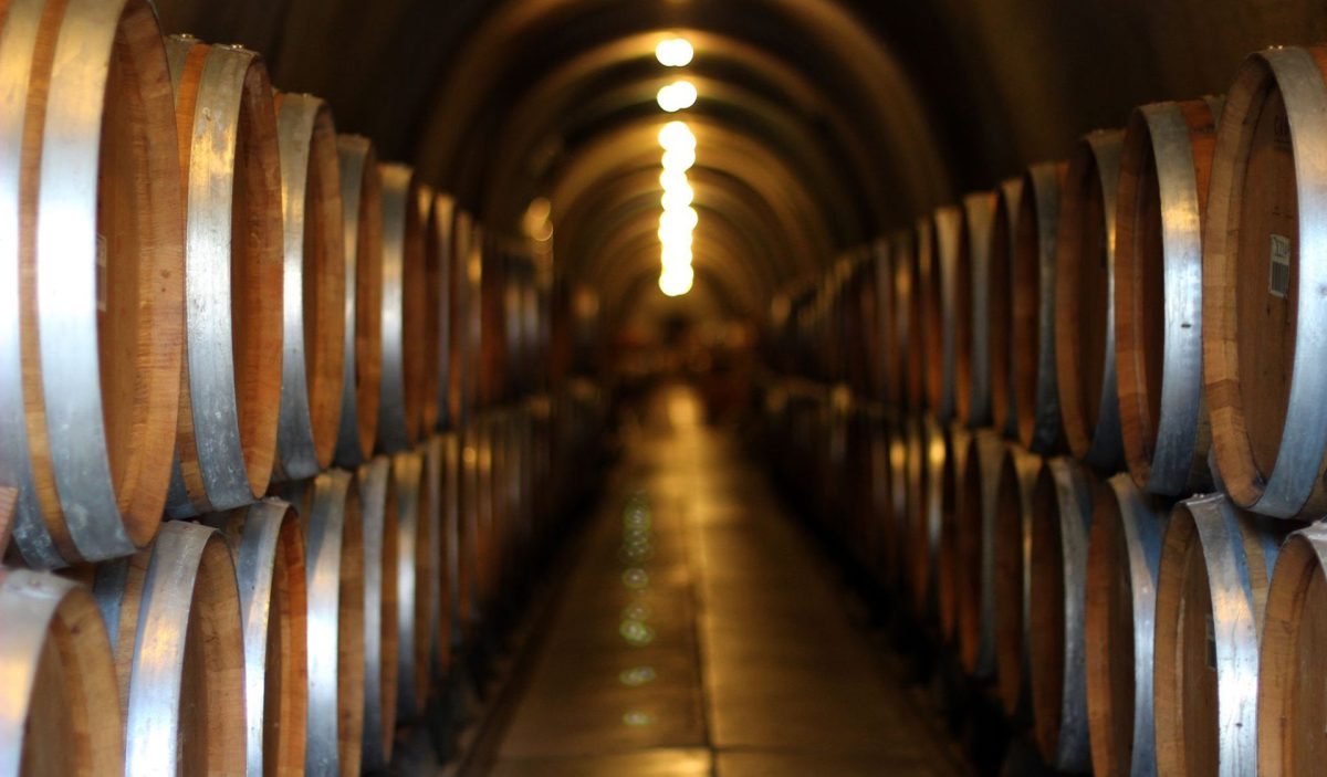 barrels of wine in a hallway