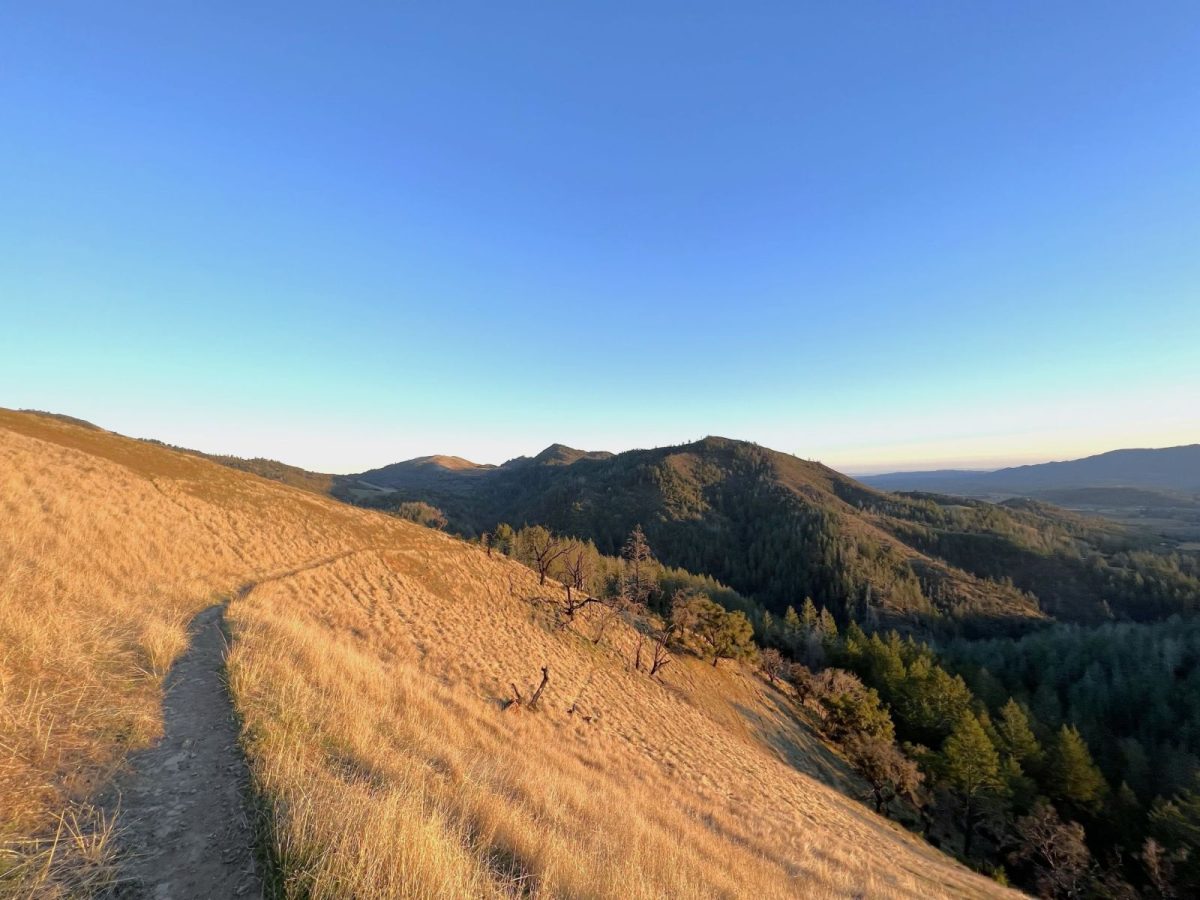 shutterstock_2486916571 hiking 011326 | Woodfield Properties